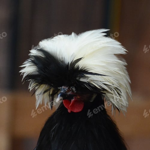 Preview: Bad hairday