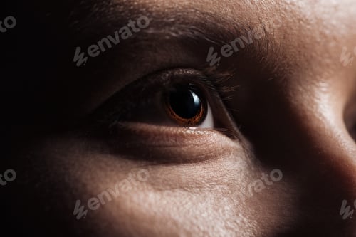 Preview: close up view of human brown eye looking away