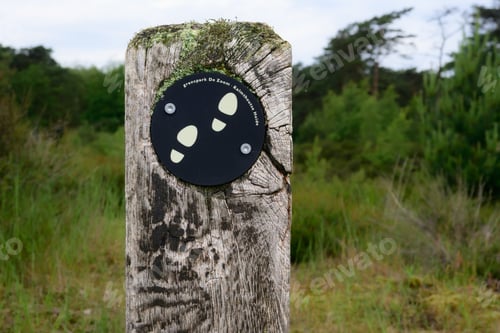 Preview: Black circular sign on a wooden post with greeneries in the background