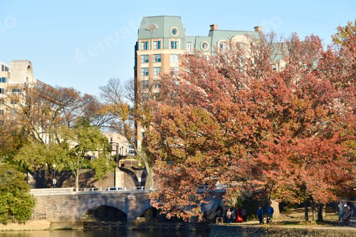Preview: People enjoying Autumn at the park in the city