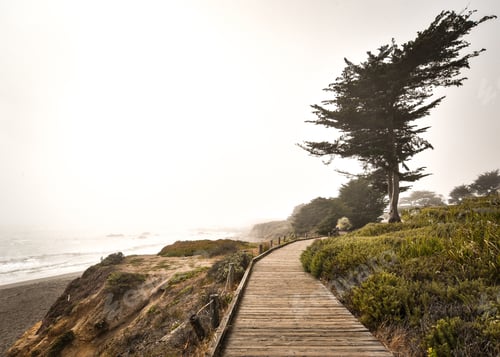 Preview: Coastal Boardwalk on a Foggy Day by the Ocean