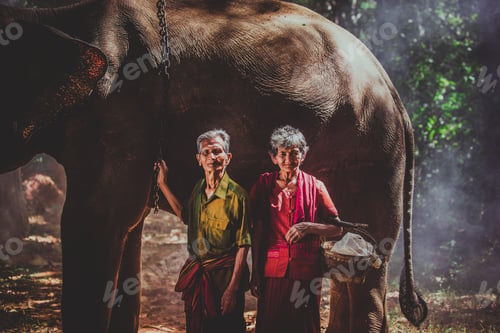 Preview: Elephant and senior couple in Thailand