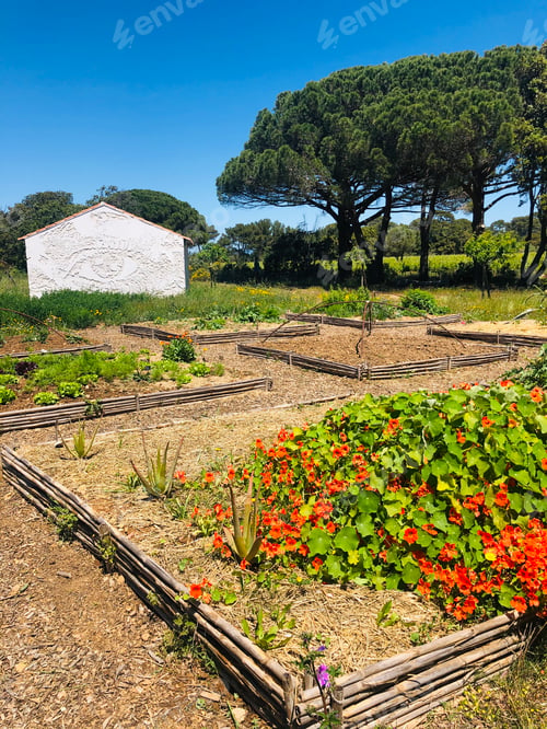 Preview: White house in Provence with vegetable garden