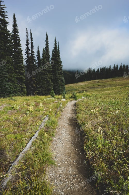 Preview: View of the Pacific Crest Trail through remote alpine meadow, autumn