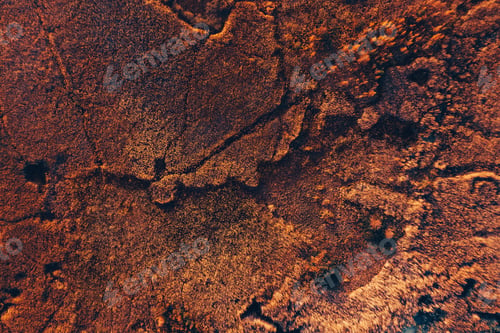 Preview: Aerial view of swamp