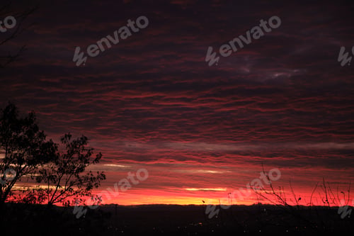 Preview: Dark foliage of small trees and bush against bright colorful sunset sky with vivid clouds