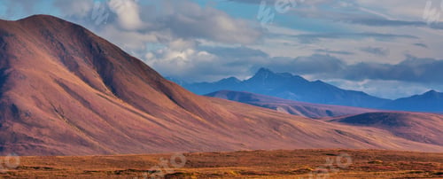 Preview: Autumn in polar tundra
