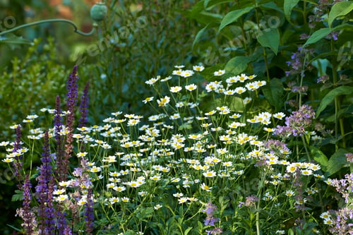 Preview: Adding a little colour to springtime