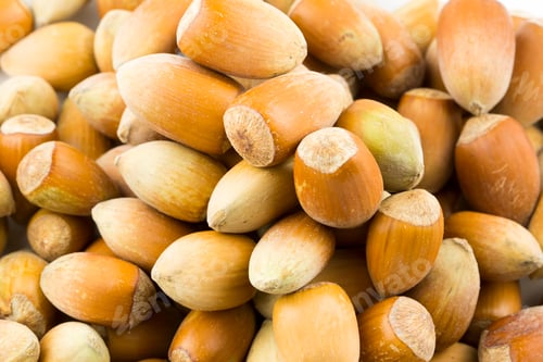 Preview: Hazelnuts. Stack of hazelnuts. Food background. Hazelnut background