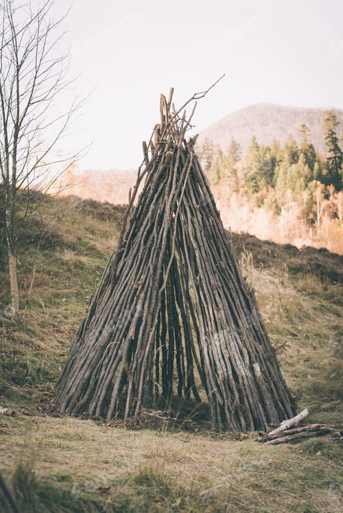 Preview: Primitive shelter made from wood