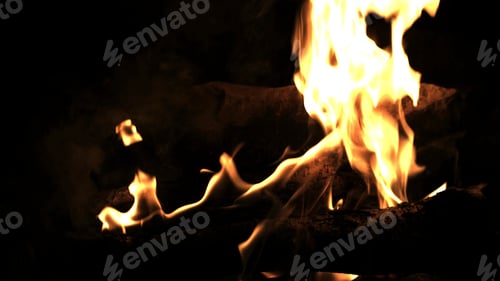 Preview: Burning wood in the fire. Camp fire in the night. Fire flames. Forest fire close up