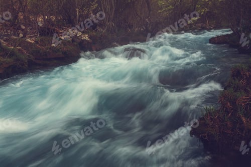 Preview: Creek in forest