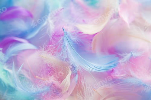 Preview: beautiful multicolored feathers texture background. selective focus.