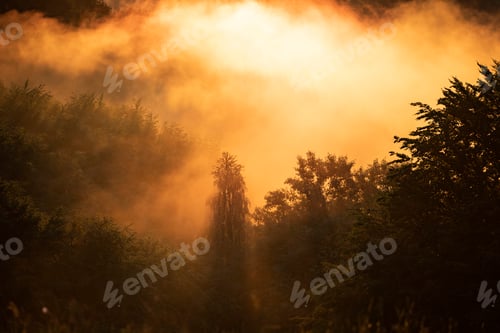 Preview: Magic foggy sunset in transylvaninan mountains.