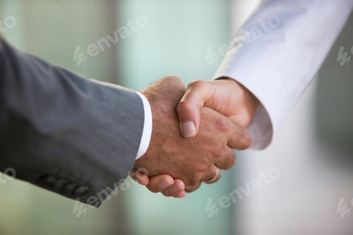 Preview: handshake, successful, congratulating, shaking