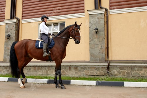 Preview: Beautiful young woman with horse outdoor. Concept of animal care. Rural rest and leisure. Idea of