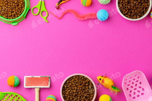 Preview: Pet bowl with dry food and toys on color background studio shot