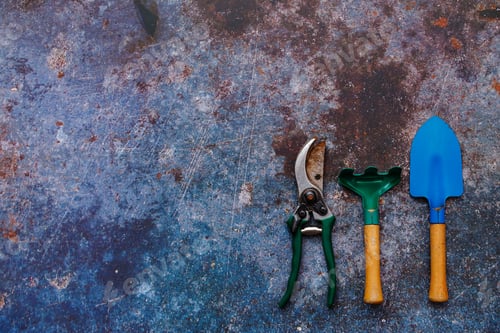 Preview: Various types of gardening tools