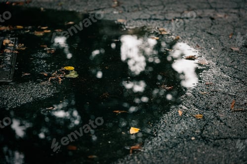 Preview: Autumn puddle reflecting the surrounding trees on a wet asphalt surface