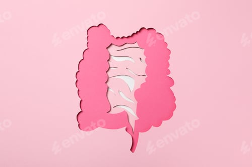 Preview: Concept of health care, stomach and intestinal problems