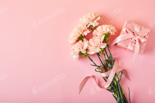 Preview: Bouquet of pink carnations and pink gift box. Design concept of holiday greeting with carnation