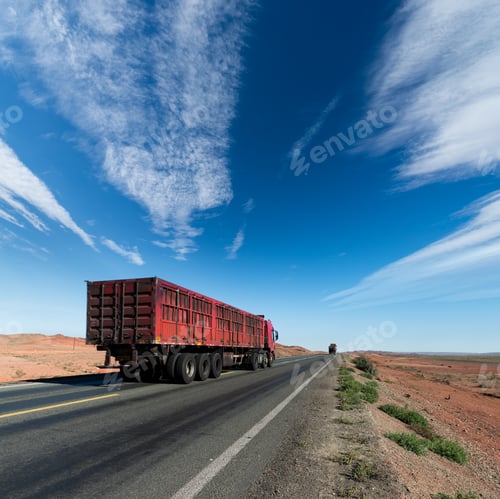 Preview: Road in the wild