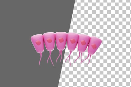 Preview: Ependymal Cells 3D Icon