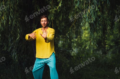 Preview: Man doing neigong in nature.