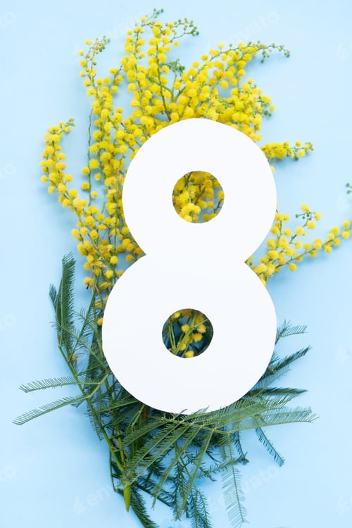 Preview: Mimosa flowers on blue background