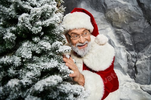 Preview: Joyful Santa Claus playfully peeking from behind a snowy evergreen tree in a winter wonderland
