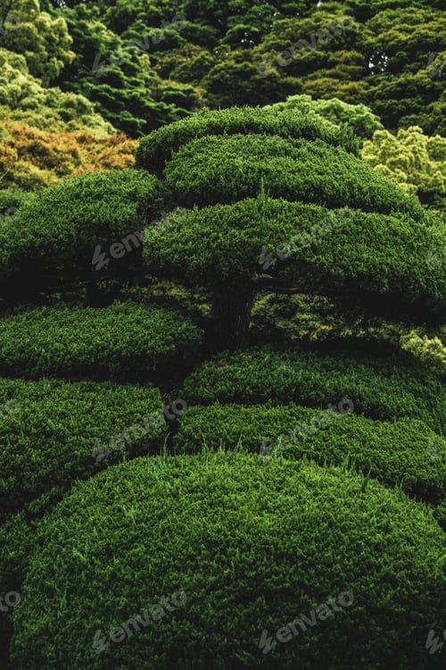 Preview: Vertical shot of a majestic Japanese garden covered in flowers and greenery in Japan
