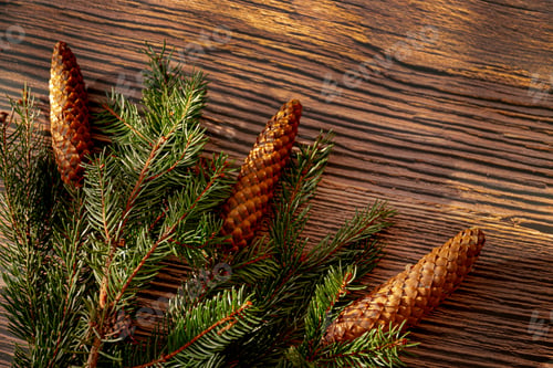 Preview: Christmas tree branches with pinecones on a wooden background