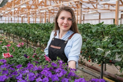 Preview: Young beautiful business woman in flower greenhouse