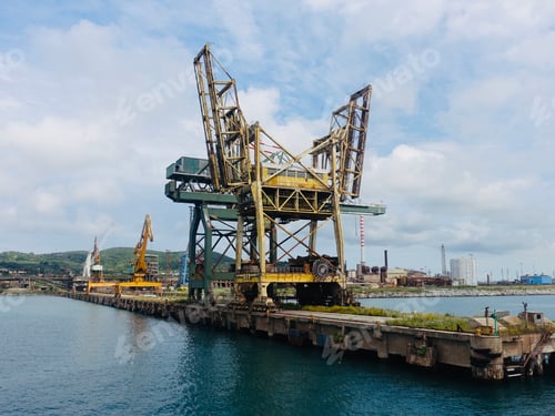 Preview: a large crane in a large body of water under a cloudy sky