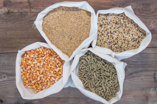 Preview: overhead view of bags with grains and pellets for sale at the forage