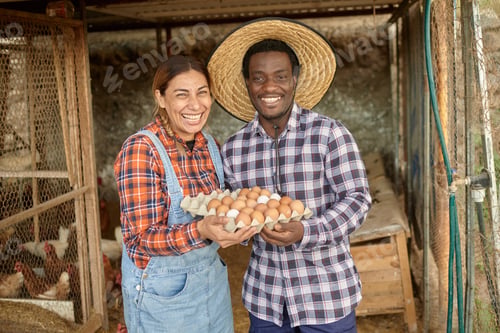 Preview: Happy multiracial farmers with box of eggs in coop