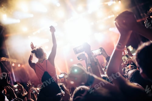 Preview: Portrait of happy crowd enjoying at music festival