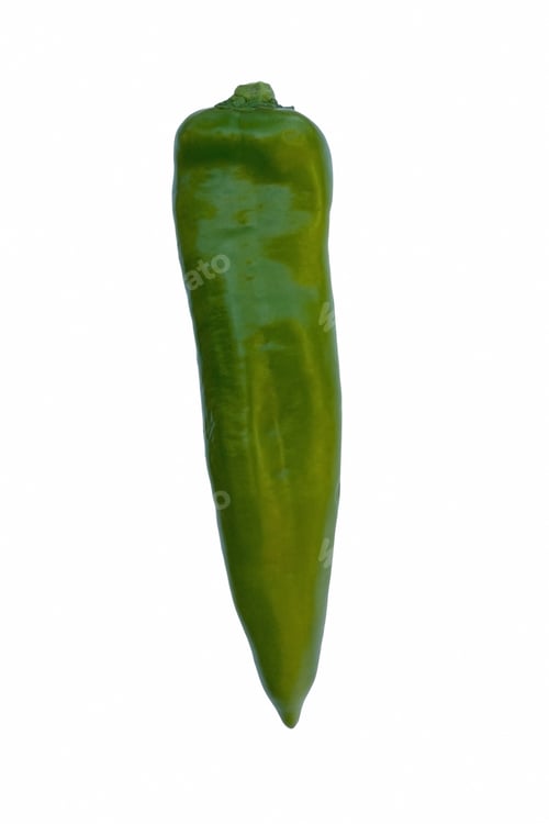 Preview: Anaheim Chili Pepper (Capsicum Annuum Anaheim). Called New Mexican Also. Image Of Single Pepper