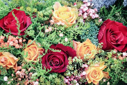 Preview: Beautiful flowers decoration with roses. Top view, greeting card