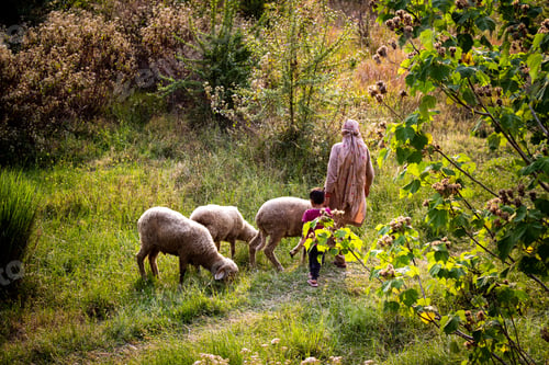 Preview: Woman and her child walking with sheep in the green forest