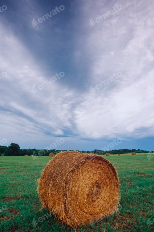 Preview: Hay Bale in Field