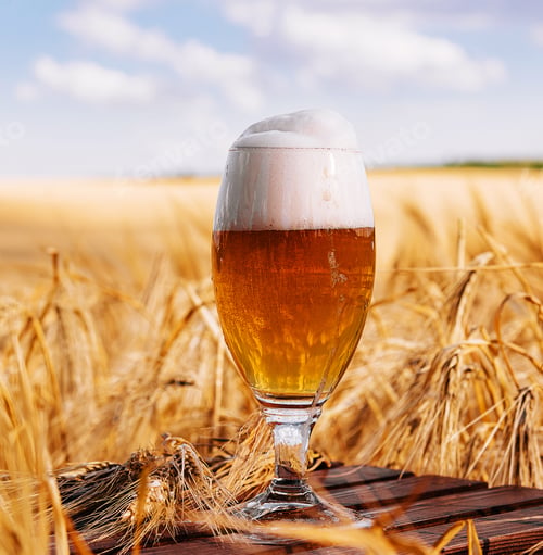Preview: a glass of beer in a wheat field