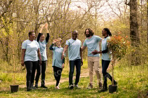 Preview: Pleased joyful squad of activists join forces to rebuild the woods