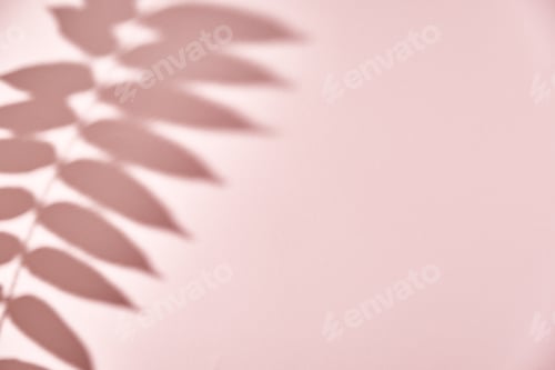 Preview: Leaf shadow on pink background. Creative abstract background