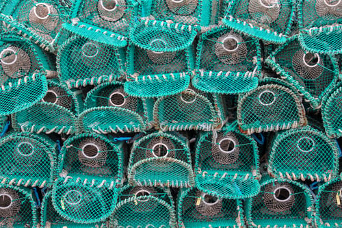 Preview: Lobster Pots