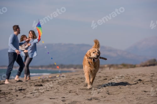 Preview: happy young family enjoying vecation during autumn day