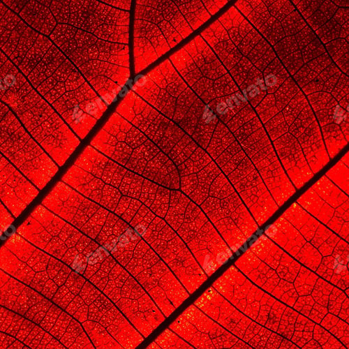 Preview: leaf abstract