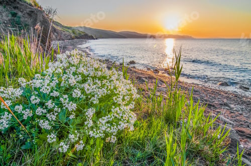Preview: Sunset on the seashore, rocky beach