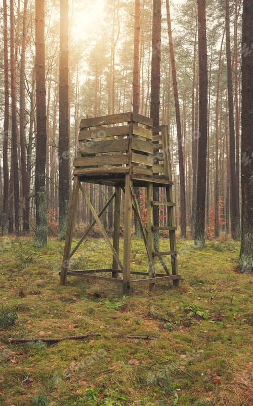 Preview: Photo of a deer hunting stand in a forest.