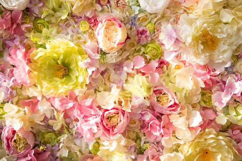 Preview: beautiful floral background with tender flowers